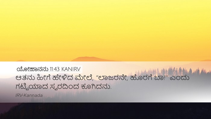ಯೋಹಾನನು 11:43 KANIRV Bible Verse Image