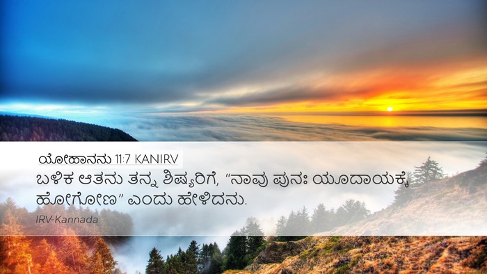 ಯೋಹಾನನು 11:7 KANIRV Bible Verse Image