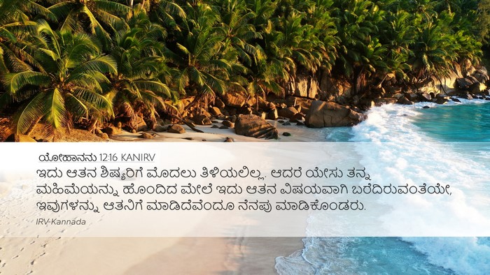 ಯೋಹಾನನು 12:16 KANIRV Bible Verse Image