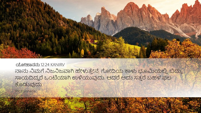 ಯೋಹಾನನು 12:24 KANIRV Bible Verse Image
