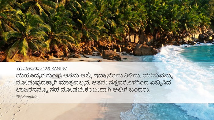 ಯೋಹಾನನು 12:9 KANIRV Bible Verse Image