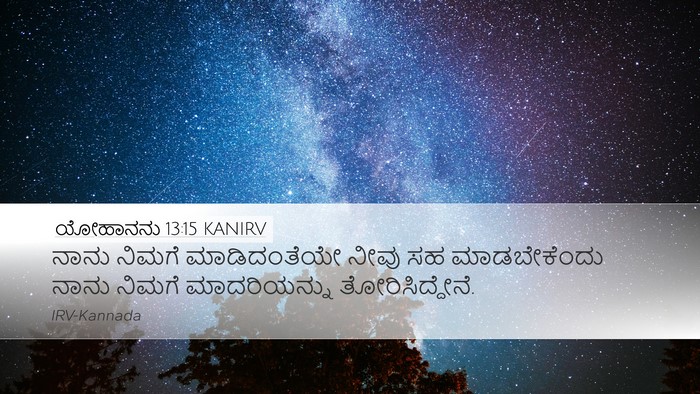 ಯೋಹಾನನು 13:15 KANIRV Bible Verse Image