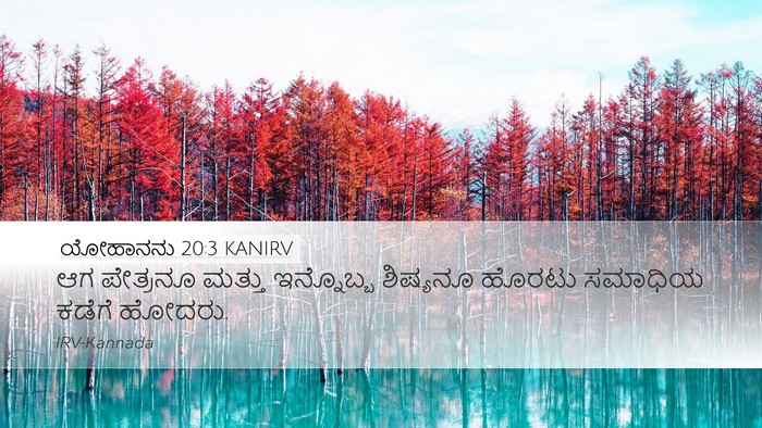 ಯೋಹಾನನು 20:3 KANIRV Desktop Wallpaper - ಆಗ ಪೇತ್ರನೂ ಮತ್ತು - Desktop Bible Verse Wallpaper