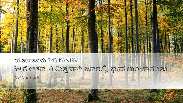 ಯೋಹಾನನು 7:43 KANIRV Bible Verse Image
