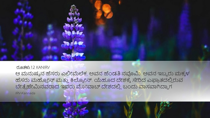 ರೂತಳು 1:2 KANIRV Bible Verse Image