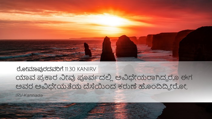 ರೋಮಾಪುರದವರಿಗೆ 11:30 KANIRV Bible Verse Image