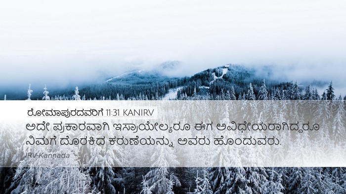 ರೋಮಾಪುರದವರಿಗೆ 11:31 KANIRV Bible Verse Image
