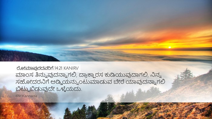 ರೋಮಾಪುರದವರಿಗೆ 14:21 KANIRV Bible Verse Image