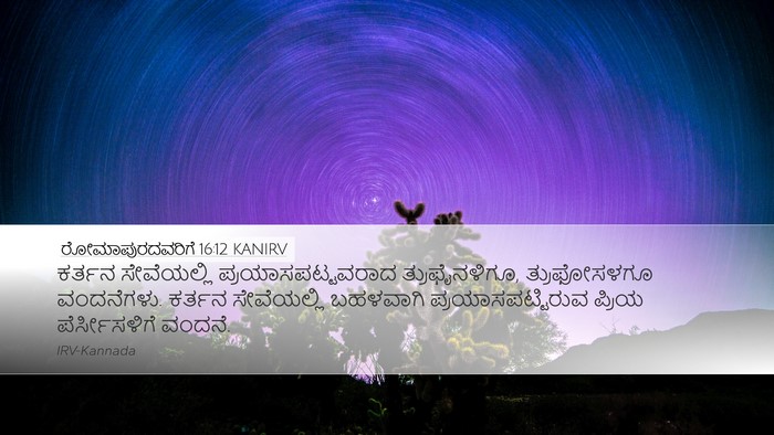 ರೋಮಾಪುರದವರಿಗೆ 16:12 KANIRV Bible Verse Image