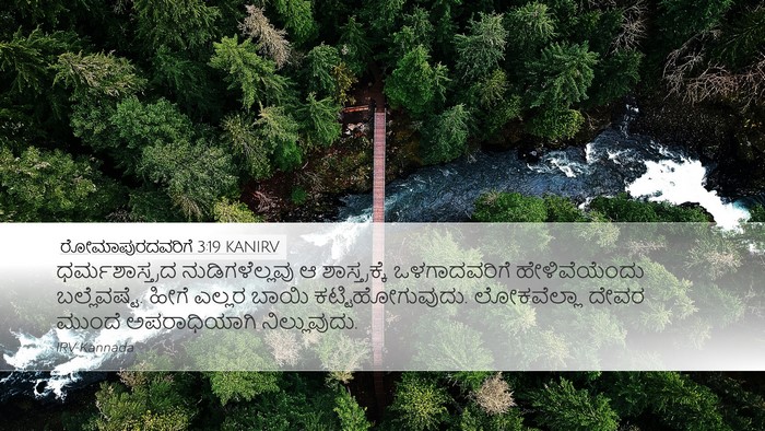 ರೋಮಾಪುರದವರಿಗೆ 3:19 KANIRV Bible Verse Image