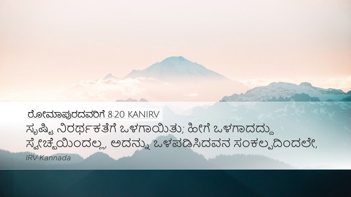 ರೋಮಾಪುರದವರಿಗೆ 8:20 KANIRV Bible Verse Image
