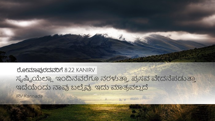 ರೋಮಾಪುರದವರಿಗೆ 8:22 KANIRV Bible Verse Image