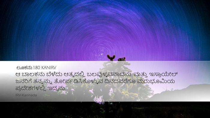 ಲೂಕನು 1:80 KANIRV Bible Verse Image