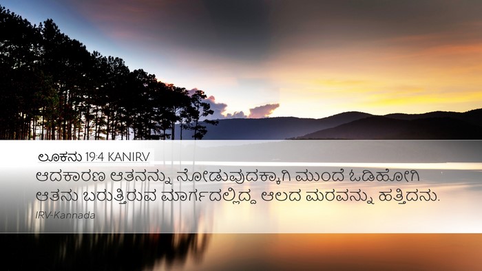 ಲೂಕನು 19:4 KANIRV Bible Verse Image