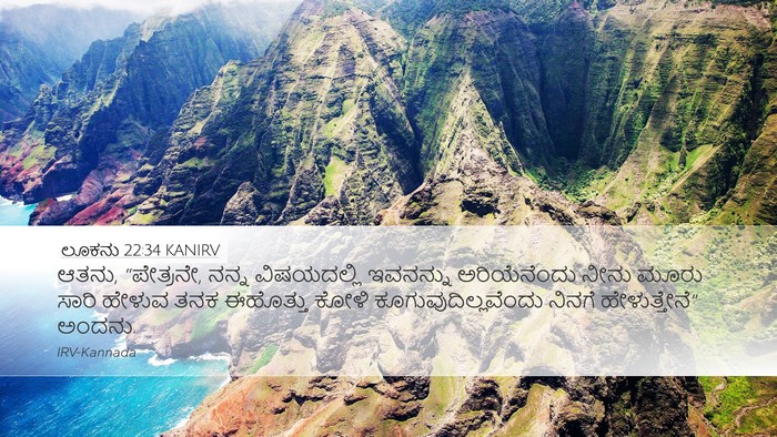 ಲೂಕನು 22:34 KANIRV Bible Verse Image