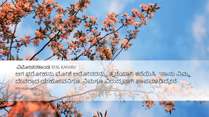 ವಿಮೋಚನಕಾಂಡ 10:16 KANIRV Bible Verse Image