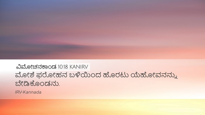 ವಿಮೋಚನಕಾಂಡ 10:18 KANIRV Bible Verse Image