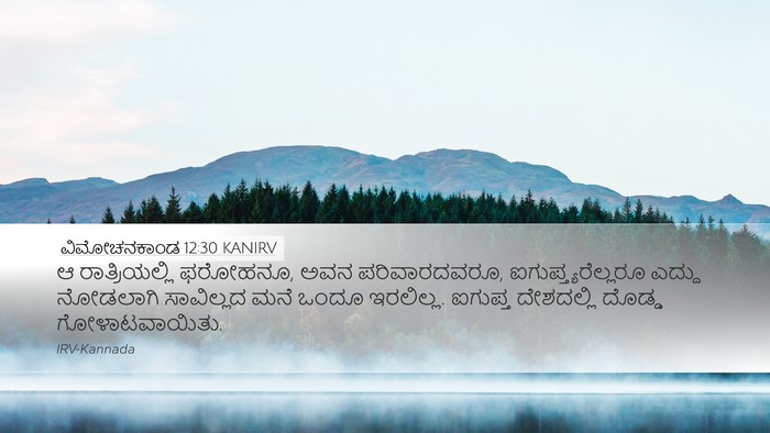 ವಿಮೋಚನಕಾಂಡ 12:30 KANIRV Bible Verse Image