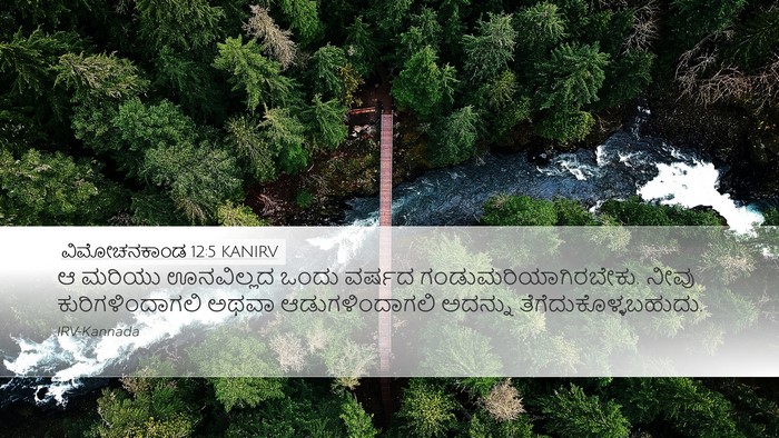 ವಿಮೋಚನಕಾಂಡ 12:5 KANIRV Bible Verse Image