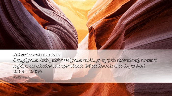 ವಿಮೋಚನಕಾಂಡ 13:12 KANIRV Bible Verse Image