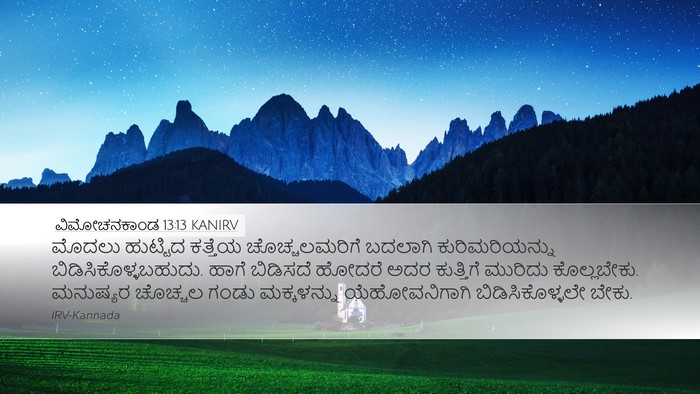 ವಿಮೋಚನಕಾಂಡ 13:13 KANIRV Bible Verse Image