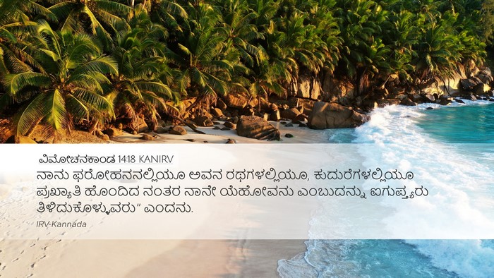 ವಿಮೋಚನಕಾಂಡ 14:18 KANIRV Bible Verse Image