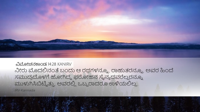 ವಿಮೋಚನಕಾಂಡ 14:28 KANIRV Bible Verse Image