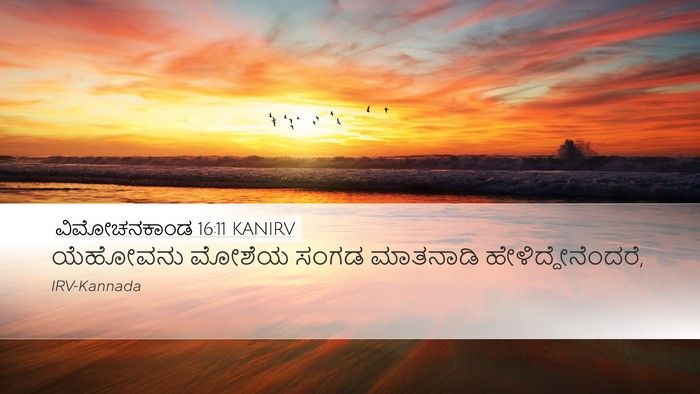 ವಿಮೋಚನಕಾಂಡ 16:11 KANIRV Desktop Wallpaper - ಯೆಹೋವನು ಮೋಶೆಯ - Desktop Bible Verse Wallpaper