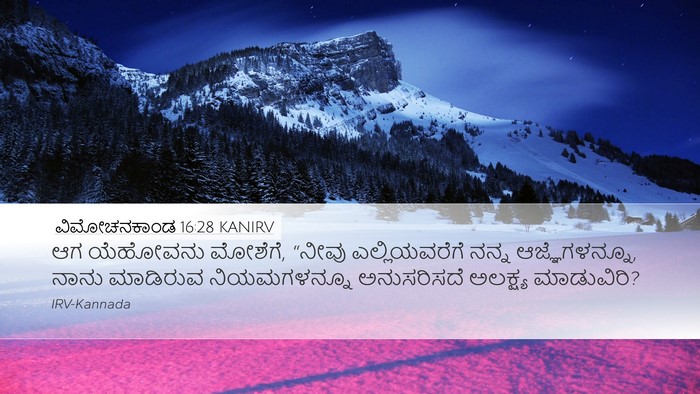 ವಿಮೋಚನಕಾಂಡ 16:28 KANIRV Bible Verse Image