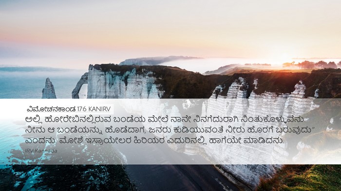 ವಿಮೋಚನಕಾಂಡ 17:6 KANIRV Bible Verse Image