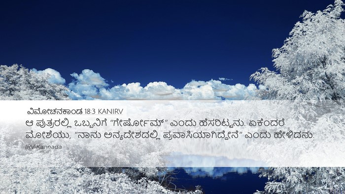 ವಿಮೋಚನಕಾಂಡ 18:3 KANIRV Bible Verse Image