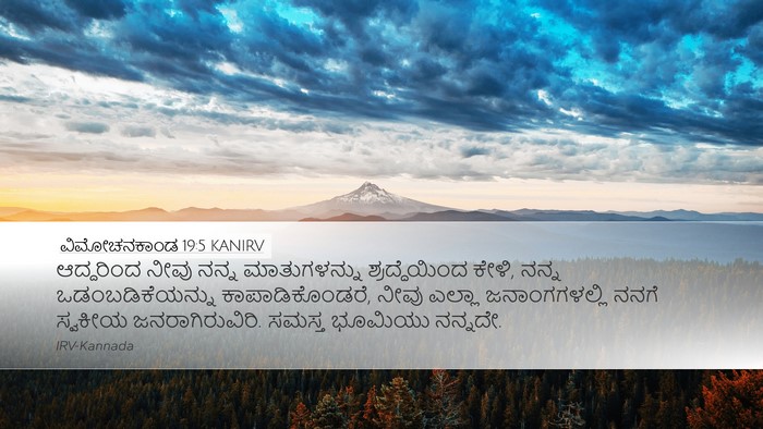 ವಿಮೋಚನಕಾಂಡ 19:5 KANIRV Bible Verse Image