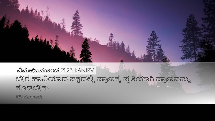 ವಿಮೋಚನಕಾಂಡ 21:23 KANIRV Bible Verse Image