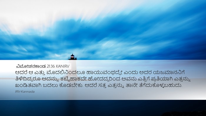 ವಿಮೋಚನಕಾಂಡ 21:36 KANIRV Desktop Wallpaper - ಆದರೆ ಆ ಎತ್ತು - Desktop Bible Verse Wallpaper