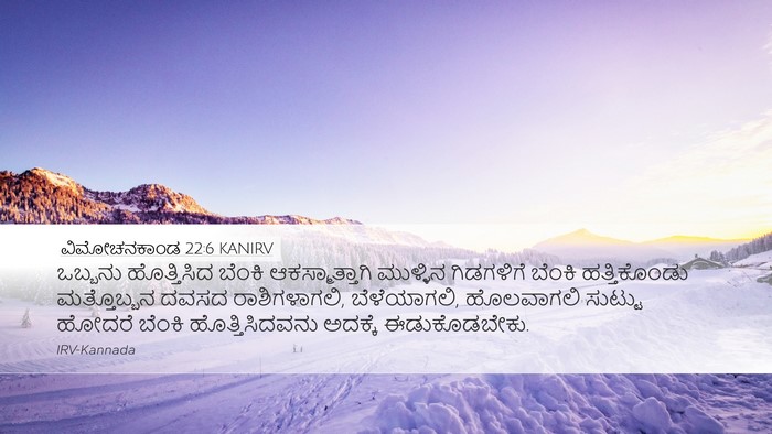 ವಿಮೋಚನಕಾಂಡ 22:6 KANIRV Bible Verse Image