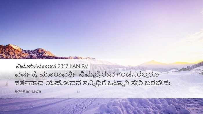 ವಿಮೋಚನಕಾಂಡ 23:17 KANIRV Bible Verse Image
