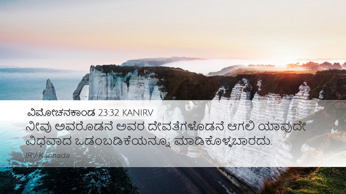 ವಿಮೋಚನಕಾಂಡ 23:32 KANIRV Bible Verse Image