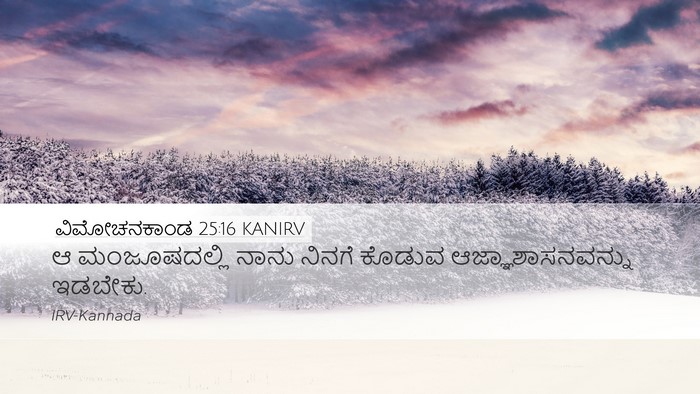 ವಿಮೋಚನಕಾಂಡ 25:16 KANIRV Bible Verse Image