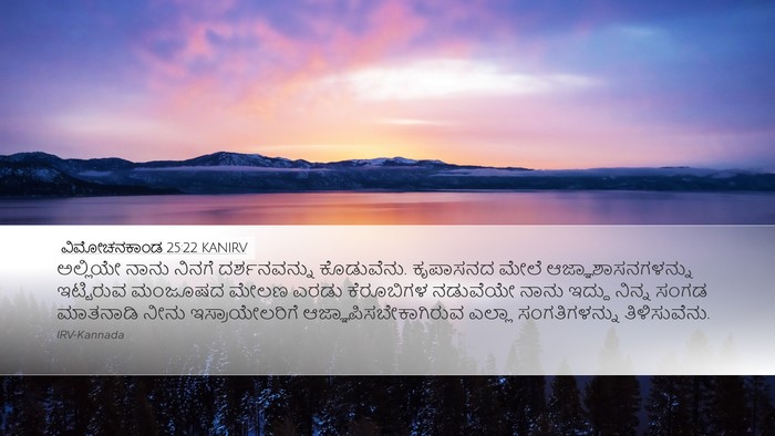 ವಿಮೋಚನಕಾಂಡ 25:22 KANIRV Bible Verse Image