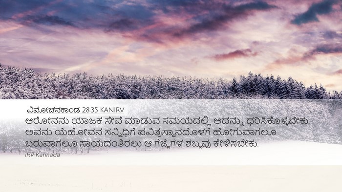 ವಿಮೋಚನಕಾಂಡ 28:35 KANIRV Bible Verse Image