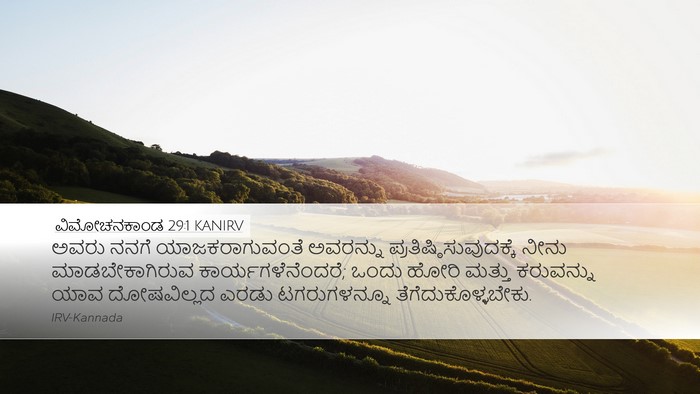 ವಿಮೋಚನಕಾಂಡ 29:1 KANIRV Bible Verse Image