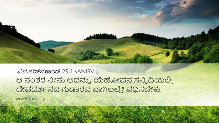 ವಿಮೋಚನಕಾಂಡ 29:11 KANIRV Bible Verse Image