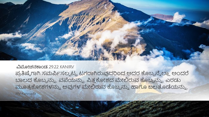 ವಿಮೋಚನಕಾಂಡ 29:22 KANIRV Bible Verse Image