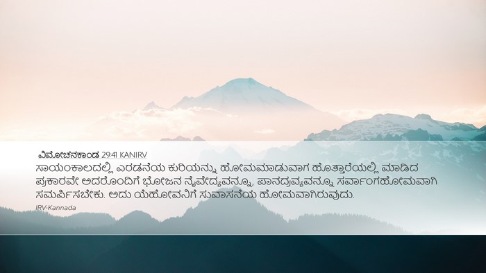 ವಿಮೋಚನಕಾಂಡ 29:41 KANIRV Bible Verse Image