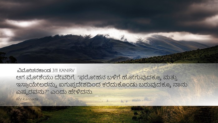 ವಿಮೋಚನಕಾಂಡ 3:11 KANIRV Bible Verse Image