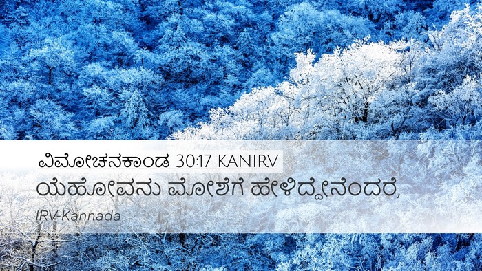 ವಿಮೋಚನಕಾಂಡ 30:17 KANIRV Bible Verse Image