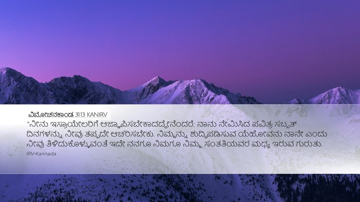 ವಿಮೋಚನಕಾಂಡ 31:13 KANIRV Bible Verse Image