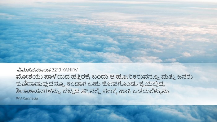 ವಿಮೋಚನಕಾಂಡ 32:19 KANIRV Bible Verse Image