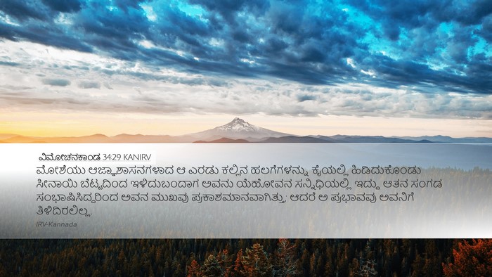ವಿಮೋಚನಕಾಂಡ 34:29 KANIRV Bible Verse Image
