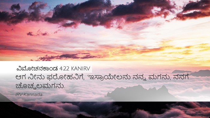 ವಿಮೋಚನಕಾಂಡ 4:22 KANIRV Bible Verse Image